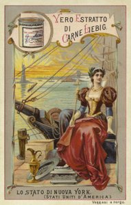 New York av European School